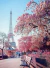 Praça de Paris - comprar online
