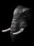 Elefante Preto e Branco - comprar online