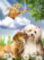 Gatinho Cupido - comprar online