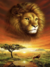 Leão na Savana - comprar online