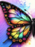 Borboleta Colorida - comprar online