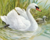 Cisne no Lago - comprar online