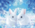Coelhos na Neve - comprar online