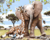 Girafa e Elefante na Floresta - comprar online