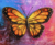 Borboleta Alaranjada - comprar online