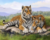 Família de Tigres - comprar online
