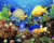 Peixes no Fundo do Oceano - comprar online