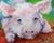 Retrato Porquinho - comprar online
