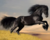 Cavalo Preto Corredor - comprar online