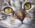 Olhos Verdes de Gato - comprar online