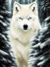 Lobo Polar na Floresta - comprar online