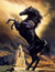 Cavalo Preto nas Montanhas - comprar online