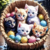 Gatinhos no Cesto na internet