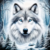Retrato Lobo na Neve na internet