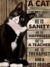 Gato com Frases na internet