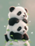Panda Filhote na internet