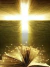 Biblia Sagrada na internet