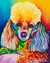 Poodle Colorido - comprar online