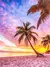 Pôr do Sol na Praia - comprar online