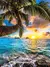 Coqueiro no Pôr do Sol - comprar online