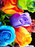 Rosas Coloridas - comprar online