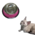 Comedouro Bebedouro Gato Cachorro Tigela Inox Colorido 150ml 15cm Mimo Pets - comprar online