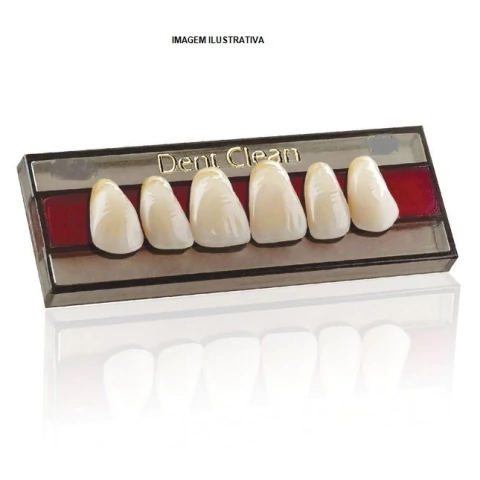 Dente Acrílico Superior e Inferior - Dentclean