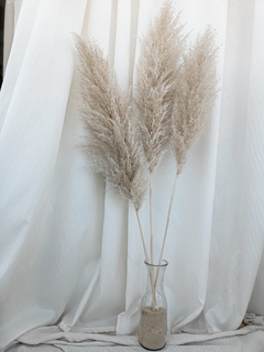 Pampas SEVILLA X5 - comprar online