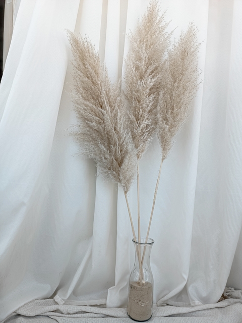 Pampas SEVILLA X5 - comprar online
