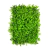 Kit 30 Placas de Eucalipto 40 x 60cm Muro Inglês Jardim Vertical - comprar online