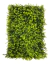 Kit 30 Placas de Eucalipto 40 x 60cm Muro Inglês Jardim Vertical