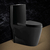 Vaso sanitário monobloco preto PEX Magnus em cerâmica com design moderno.