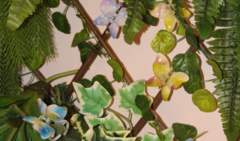 Banner da categoria MISE HAIR COLLECTION