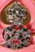 MISE LACY - loja online
