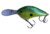 Isca DT10 | RAPALA na internet