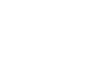 Wild Bull