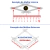 Rede Feiticeira (3 Panos) Malha Interna 4.5 (45mm) Fio 0.50mm Malha Externa 20 (200mm) Fio 0.50mm 3.60 de Altura