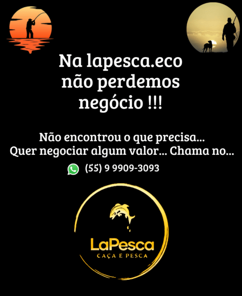 Carrossel 1