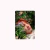 Photocard Jhope
