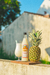 Piña Colada Gastronomica 950ml x1u - comprar online
