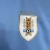 Camisa Uruguai Home 24/25 Torcedor Nike Masculina - Azul