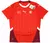 Camisa Seleção da Suíça Home 24-25 Torcedor Puma Masculina - Vermelha