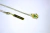 Image of LOVE NECKLACE
