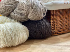 LLAMA BLEND en internet