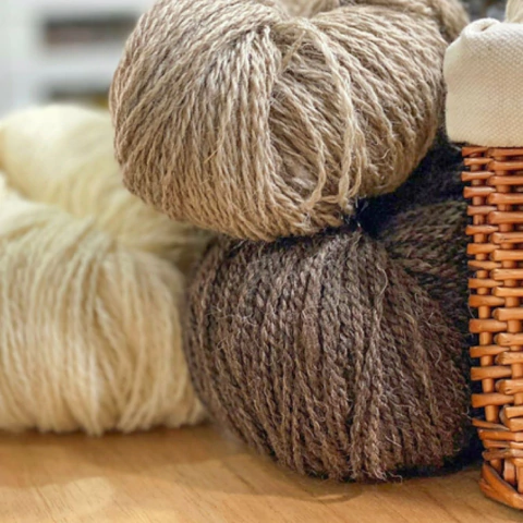 LLAMA BLEND - comprar online