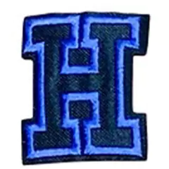 APLIQUES BORDADO LETRAS AZULES en internet
