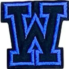 APLIQUES BORDADO LETRAS AZULES