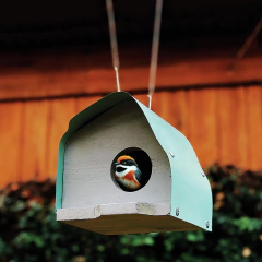 Casa-nido Birdie! - online store