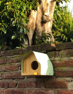 Casa-nido Birdie! on internet