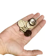 BOTÓN DE COCO en internet